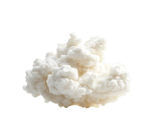 aktivni-sastojci-ferment-lactobaciliusa.webp