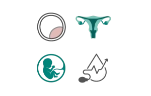 zasto-aleract-ha-01-300x192.png.webp