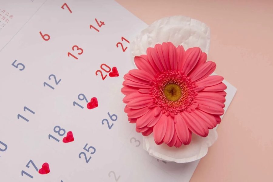 Izostanak menstruacije koji nije uzrokovan trudnoćom