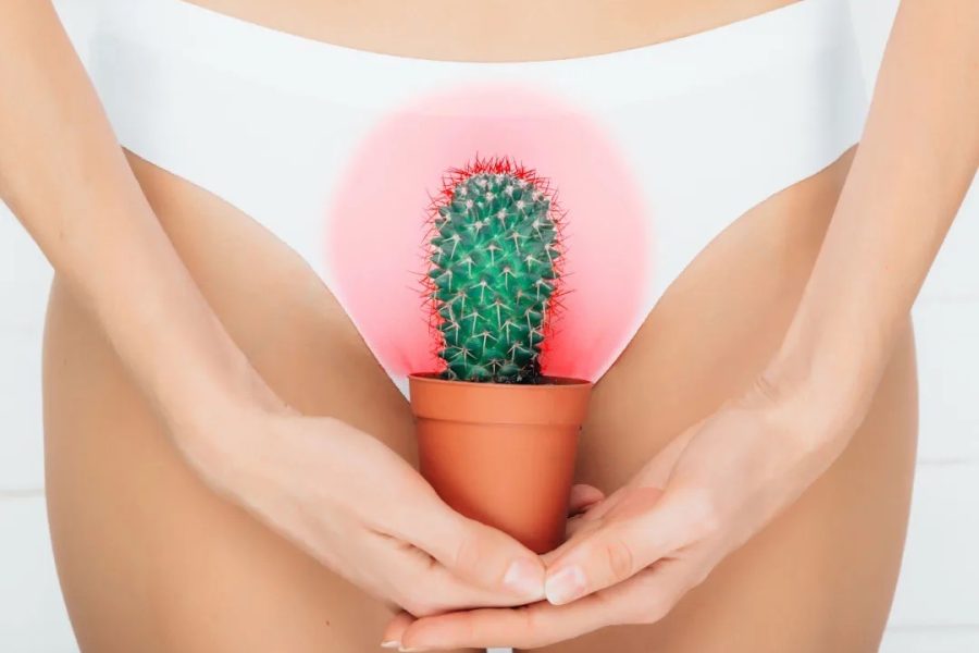 Kandida kod žena (Vaginalna kandidijaza)