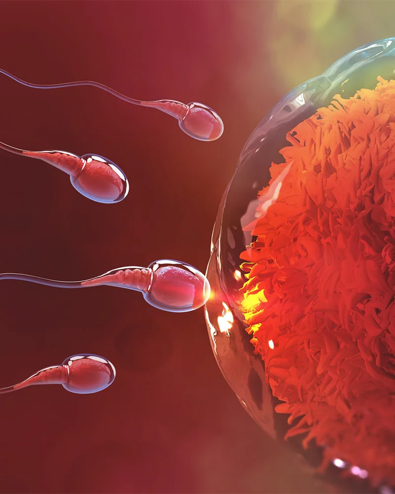 Bolji kvalitet spermatozoida