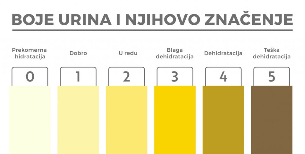 boje urina i njihovo značenje, urin bele boje prekomerna hidratacija, urin braon boje teška dehidratacija