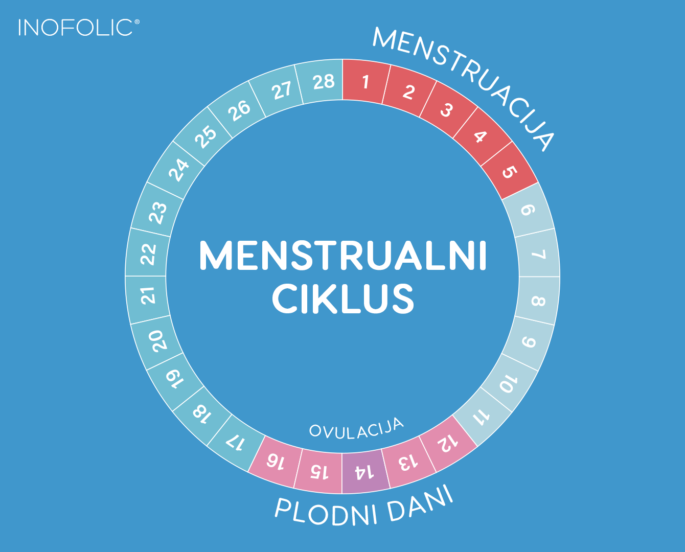 Normalno trajanje menstrualnog ciklusa - Miter International